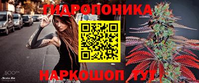 apvp Севастополь