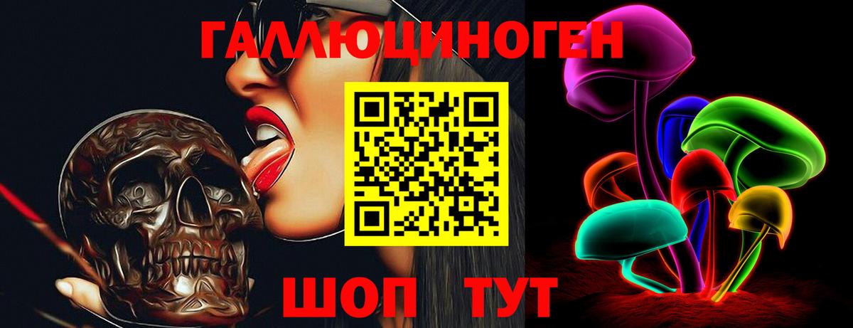 Галлюциногенные грибы Psilocybine cubensis  Вход с VPN  где купить наркоту  Новодвинск  Псилоцибиновые грибы MAGIC MUSHROOMS 